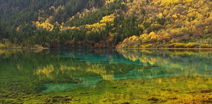 Jiuzhaigou National Park - China T (PBH4 00 15439)
